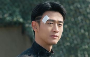 Белое оливковое дерево