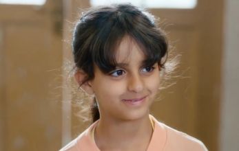 Белое оливковое дерево