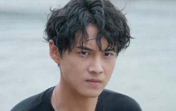 Белое оливковое дерево