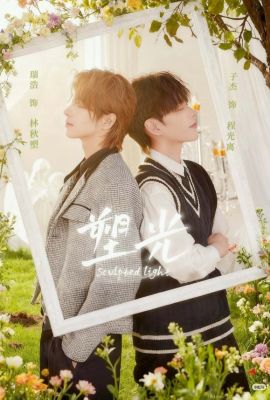 Скульптурный свет